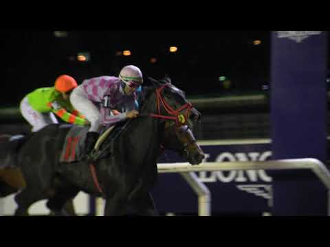 211024 c13 QUEEN QUILLA