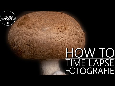 Time Lapse Fotografie Tutorial | 30 Tage Pilzwachstum aufnehmen