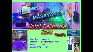 TryHamo『Hotel California』【Eagles:cover】[VOICELIVE3,TRIO+,GM-800,L-20］弾き語り&ハモり&歌詞コード