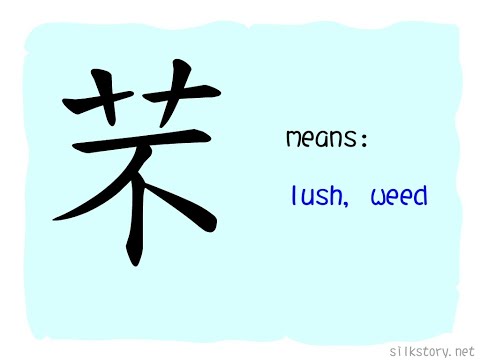 SilkStory - The Story of Chinese Character
