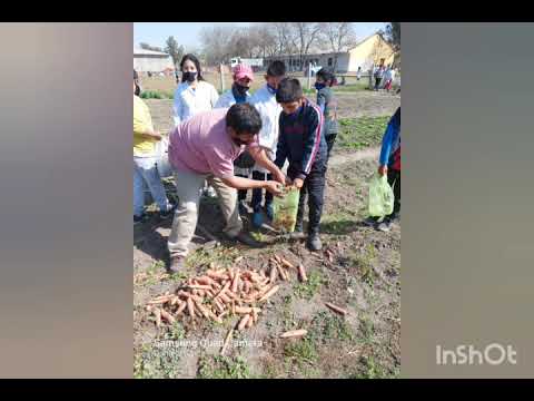 Proyecto "Pequeños Agricultores" Escuela N°14 "Primero de Mayo" Amberes - Tucumán