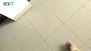 Download lagu Live Streaming SMAN PINTAR mp3