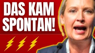 ⚡ AFD BRICHT EIGENEN REKORD! ⚡