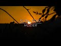 Hozier // Sunlight (Lyrics)