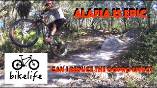 Alafia State Park MTB.