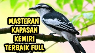Download lagu SUARA BURUNG KAPASAN KEMIRI. KERAS DAN JERNIH BAGUS UNTUK MASTERAN mp3