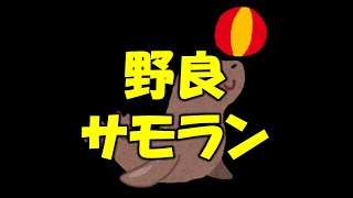【スプラ3】野良サモラン！明日帰省する予定～【サモラン】