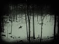 Cowboy Junkies "Mountain Stream (The Angel)" - Official Video