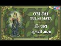 ॐ जय तुलसी माता आरती Om Tulsi Mata Aarti Tulsi Vivah Aarti Maa Tulsi