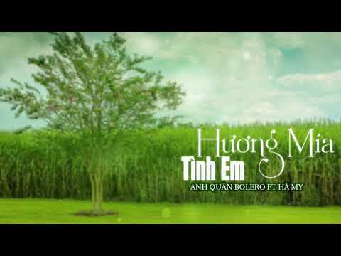 Hương mía tình em - Anh Quân Bolero