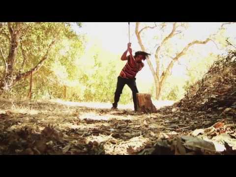 Reproducir vídeo