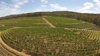 preview picture of video 'Riesling Tour Clare Valley'