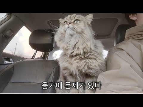 병원 가자
