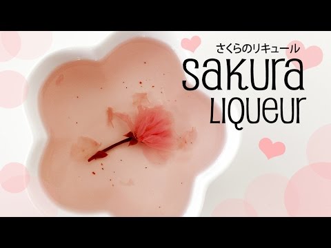 Sakura Cherry Blossom Liqueur | さくらのリキュール