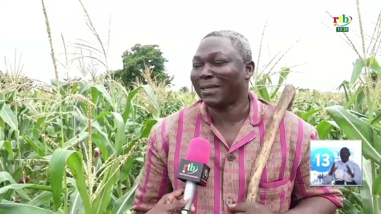 Offensive agro-pastorale et halieutique: L’impact de la mécanisation agricole dans le Boulgou