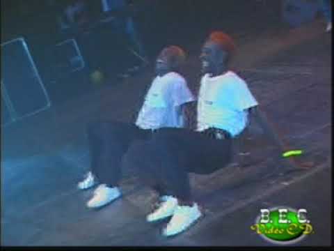 Werrason zenith de paris : concert de Samedi