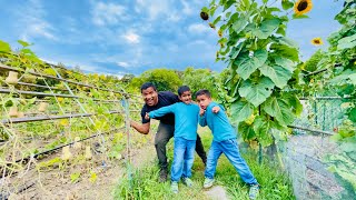 What is Community Garden in America? I Lexington Community Garden I Bharti Family Vlogs