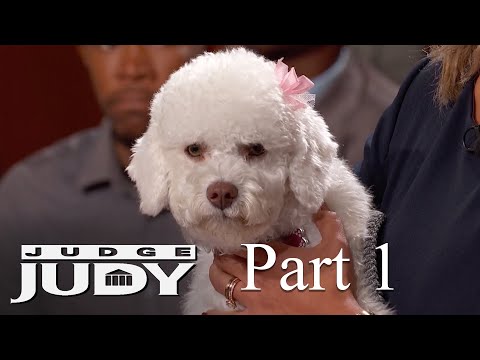 Dog's Eardrum Ruptured during Grooming? | Part 1