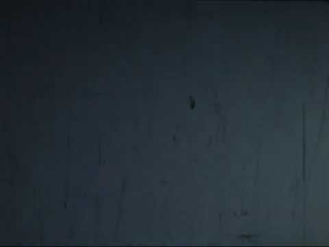 UFO in River Forest, Illinois Jan 1 1958