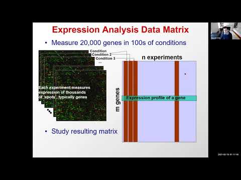 Gene Expression Prediction - Lecture 09 - Deep Learning in Life Sciences (Spring 2021)