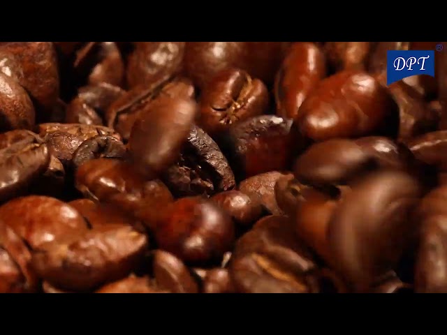 طاحونة قهوة المنيوم يدوية 30 جرام- طحن احترافي متنوع، تصميم متين وخفيف، سهل الاستخدام والتنقل،ضمان سنتان