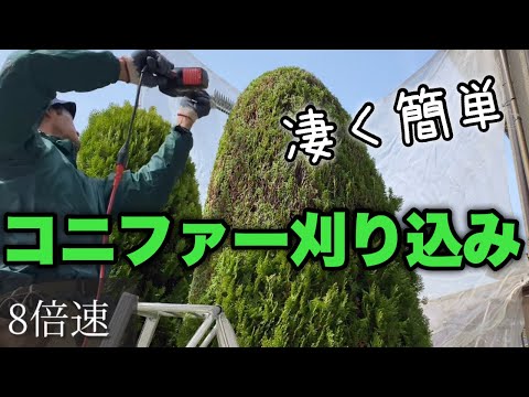 春に剪定する植物はどれですか？ 3月・4月に伐採する樹種は5群  庭園