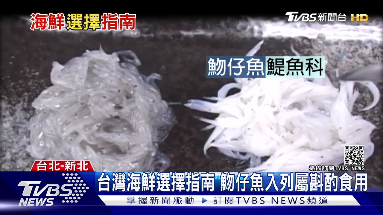 台灣海鮮選擇指南!魩仔魚列黃燈 專家:盡量逢年過節吃