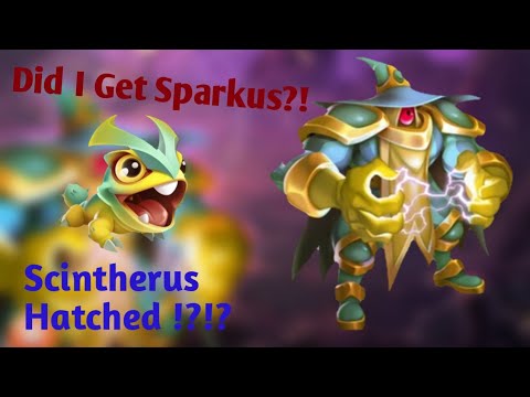 Can I Get Sparkus? Scintherus Hatched😻