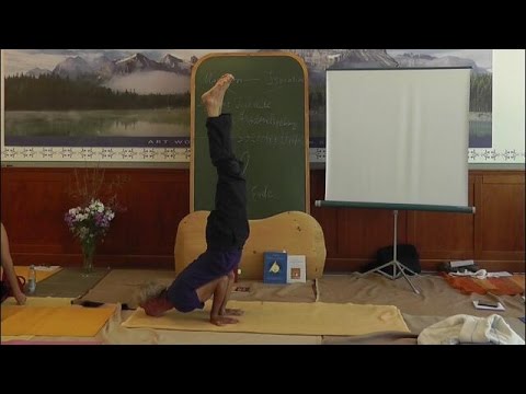 Der Pfau - mayurasana