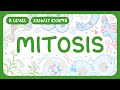 A Level Biology Mitosis Stages Of Mitosis Cytokinesis Cell Division Cancer 2026 27 Exams