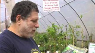Raintree Nursery - Orca Broadcasting | Online Tree Nursery