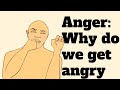 Anger Why Do We Get Angry Understand It And Use It To Your Advantage Anger