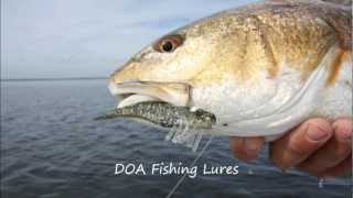 How to Cast and Catch More Redfish