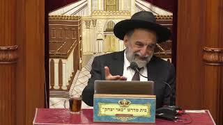 הלכה | הרב יהודה נקי | הלכות ט' באב  ואבלות - כח' תמוז תשפ"ה