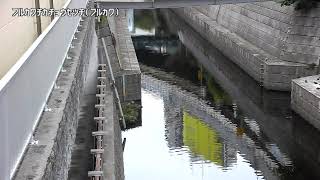 古川地下調節池取水施設映像監視局