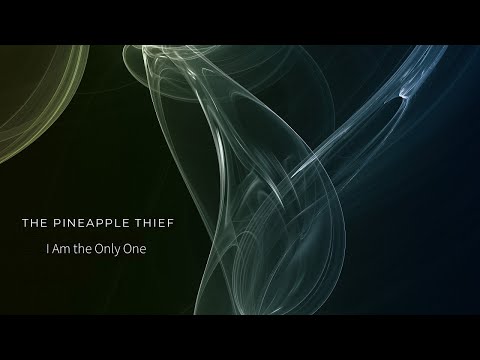 I Am The Only One Lyrics – The Pineapple Thief thumbnail