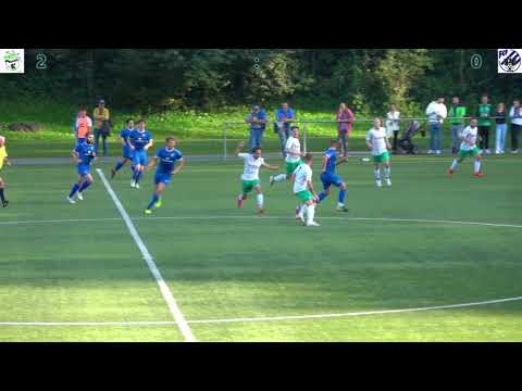 Meisterschaftsspiel 4. Liga FC Reichenbach - FC Frutigen vom 07.10.2023 ganzes Spiel