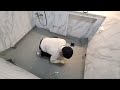 Clip 3