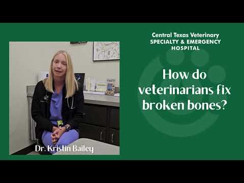 Fractures (Broken Bones)