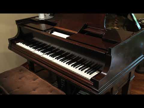 The Carioca & The Continental • Victor Arden and Adam Carroll (Steinway Duo-Art Reproducing Piano)