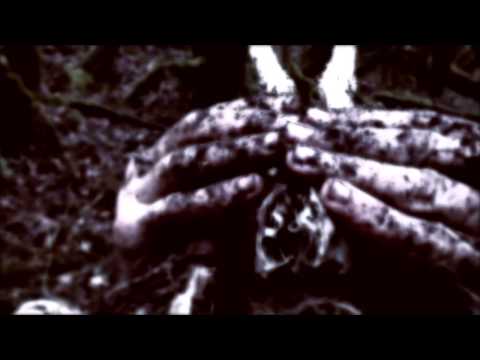 STILLE VOLK - La Forêt Gorgone (Official Video) | Holy Records
