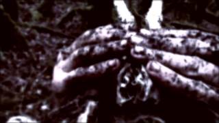 STILLE VOLK - La Forêt Gorgone (Official Video) | Holy Records