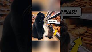 I finally got what I wanted! 🪜🍪