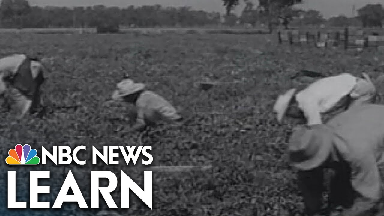 The Bracero Program