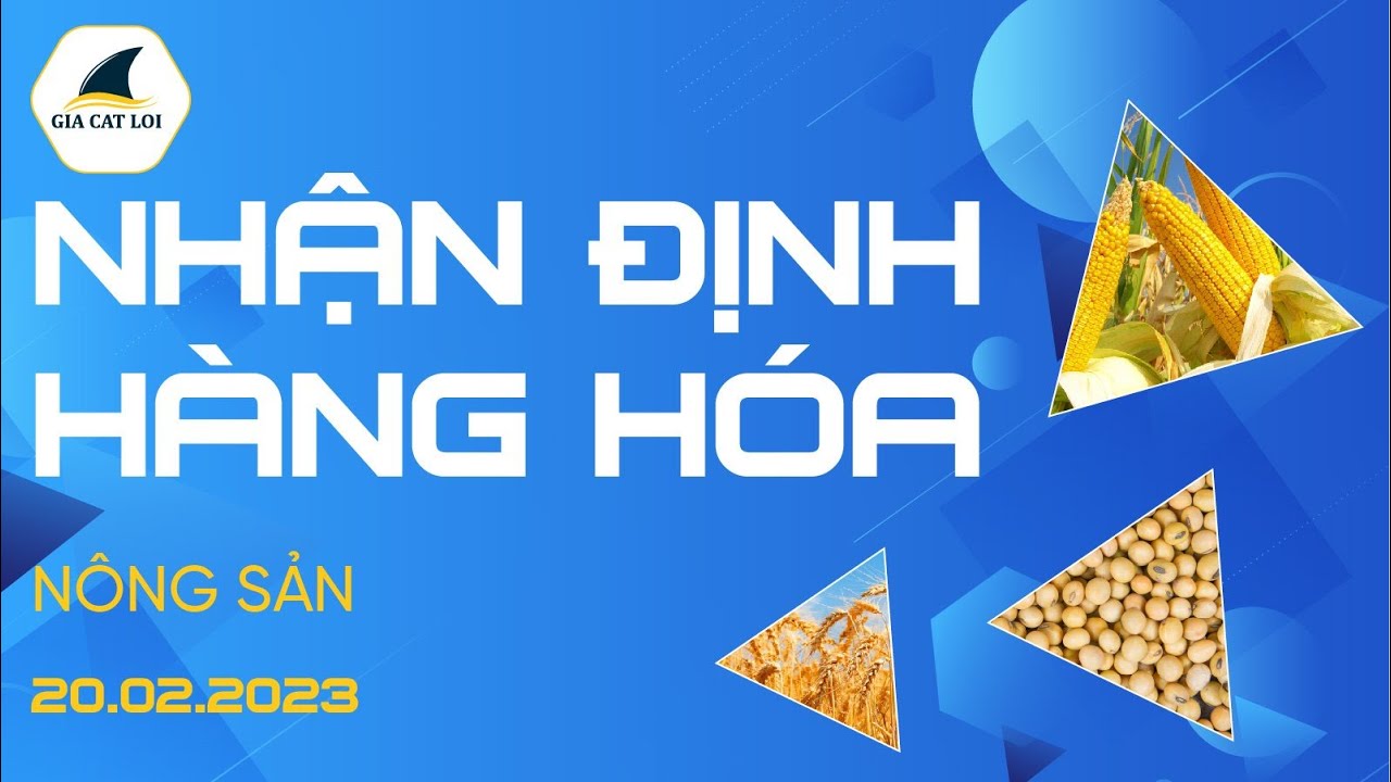 Nhận Định Thị Trường Nông Sản Ngày 20/02/2023