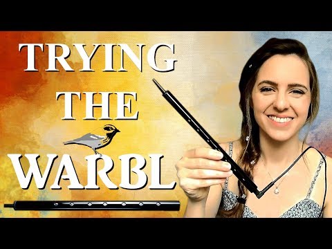 Introducing the WARBL - Trying An 'Electronic' Tin Whistle.