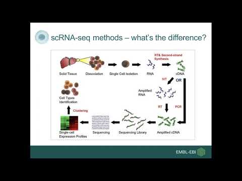 Life cell by cell: Introduction to Single Cell Expression Atlas