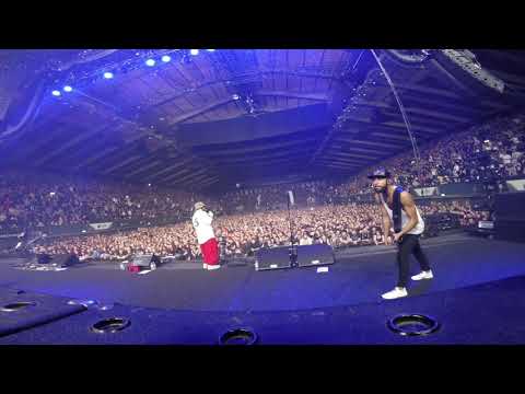 Thumbnail for Limp Bizkit Bass Cam - Gold Cobra - UK 2017 - MPNG by Limp Bizkit, T.O.K.