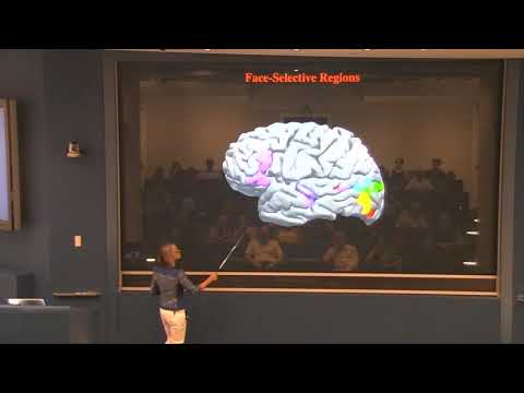 Nancy Kanwisher - The Social Brain: A Hypothesis Space for Understanding Autism (Sept 23, 2014)