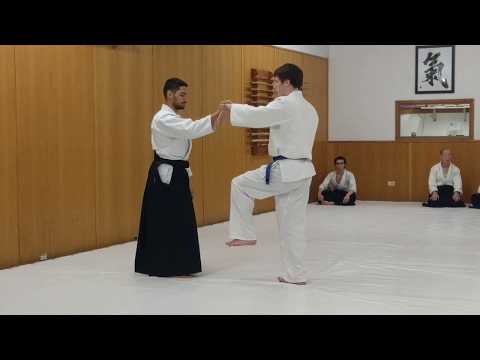 2nd Kyu Test 03 24 2018